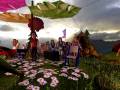 videos de Festa ecologica!