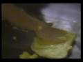 comedy51 afv comedy comedy51 afv comedy