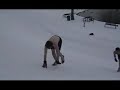 Full Armor body sledding