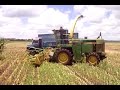 cia da silagem - corte milho jd 6810