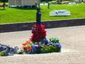 The New York Horse Park - make it real