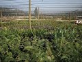 US Farms, Inc.