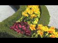 Chopin+Flower - The Mirabell gardens in Salzburg