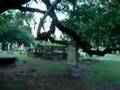 Greensboro Alabama Cemetery Iron ...
