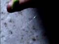 Chiseen: Book of Pain - Eye Exam