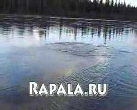 Flyfishing Kola peninsula Varzuga