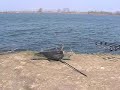 Mantova Lago Superiore Mantova Lago Superiore
