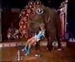 Deidre Hall Circus of The Stars