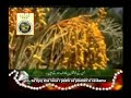 Er Rahman-prijevod na bosanski 1- najljepse ucenje Er Rahman-prijevod na bosanski 1- najljepse ucenje