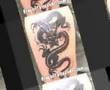 videos de Tribal Dragon Tattoos