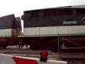 Amtrak Talgo train