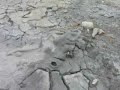 mud volcano