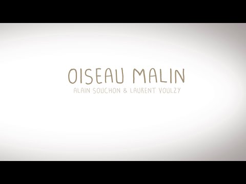 Alain Souchon et Laurent Voulzy - Oiseau malin (Lyrics video)