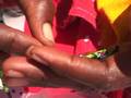 YouTube - The Leakey Collection B-Roll Footage