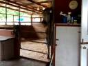 PB290271.AVI PB290271.AVI