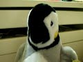 pinguin! singing lokamochi mamiba...