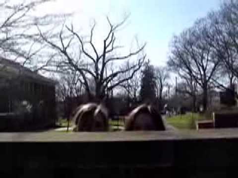 inside Look: Allegheny College ...
