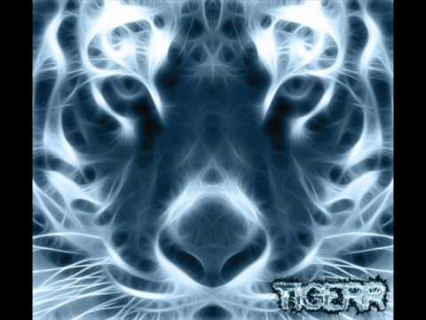 tigerr