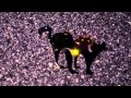 You Tube Glow / Light Up Video