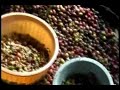 Saberes Caiçaras: a cultura caiçara em Cananéia/SP - parte 1