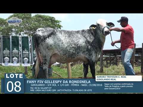 LOTE 08 - FANY FIV GILLESPY -