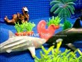 Romeo and Juliet (underwater love)