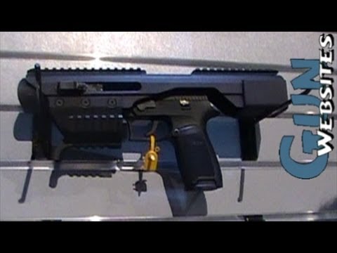 Sig ACP Pistol Carbine
