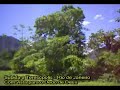 Subindo a Serra dos Org�os - Teres�polis - Rio de Janeiro