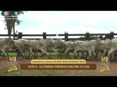 527� LEIL�O VIRTUAL MB LEIL�ES