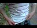im sch�nen wiehengebirge h�ngt ihrgend ein spacken stacheldraht zwischen zwei b�ume und wir sehens nich^^