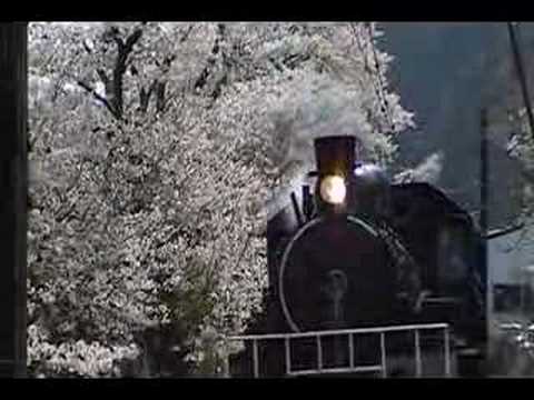 大井川鉄道　家山の桜トンネル②C56通過