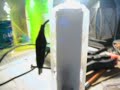 Hydroxy Ver 1.0 Generator Side View