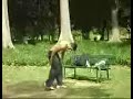 zuera parkour ibira