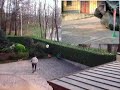 Walkera 22e - webcam per ripresa fissa e flycamone su 22e