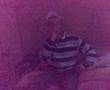 Steevy B