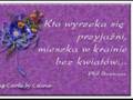 mowili na nia slonce.wmv