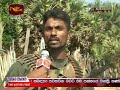 Troops annihilate LTTE carders fleeing from Nachchikuda. Wanni Operation 1 st of November 2008