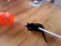 Swiffer-Otis