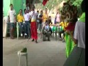 2008長洲太平清醮-長洲菜園行
