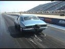 Jeff Camaro