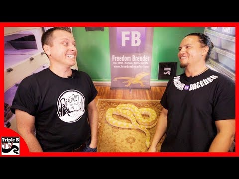 YouTube reptile video