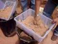 Projek Cendawan -Tapis habuk kayu