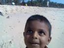 Rotary Club picnic at Mukka