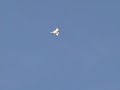 Sukhoi Su-37 Super Flanker Park Jet