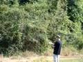 videos de luís e a cobra caninana...