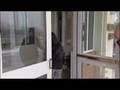The Pulse -The disease defeating scientists-3 Dec 07-Part 1