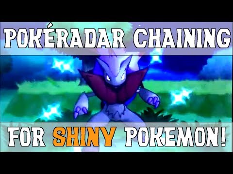 how to use a pokeradar in pokemon x