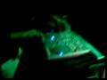 videos de DJ RICARDO AND THE MIX ENERGIA EN TUS SENTIDOS
