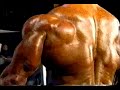 Gunther Schlierkamp Doing Pushups