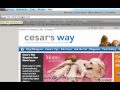 How To Choose The Right Domain Name For Your Business